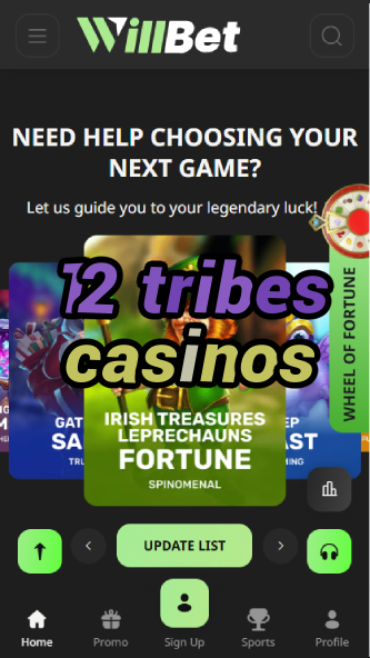 12 Tribes Casinos - Native American Casino Guide-casinoorder.vip