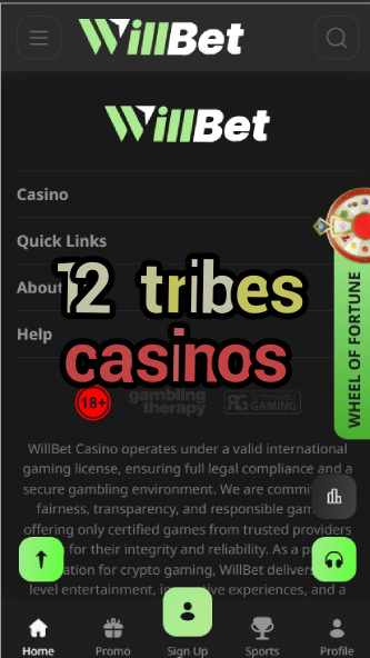 12 Tribes Casinos - Native American Casino Guide-casinoorder.vip