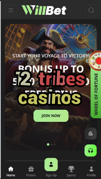12 Tribes Casinos - Native American Casino Guide-casinoorder.vip